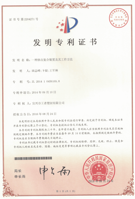 专利