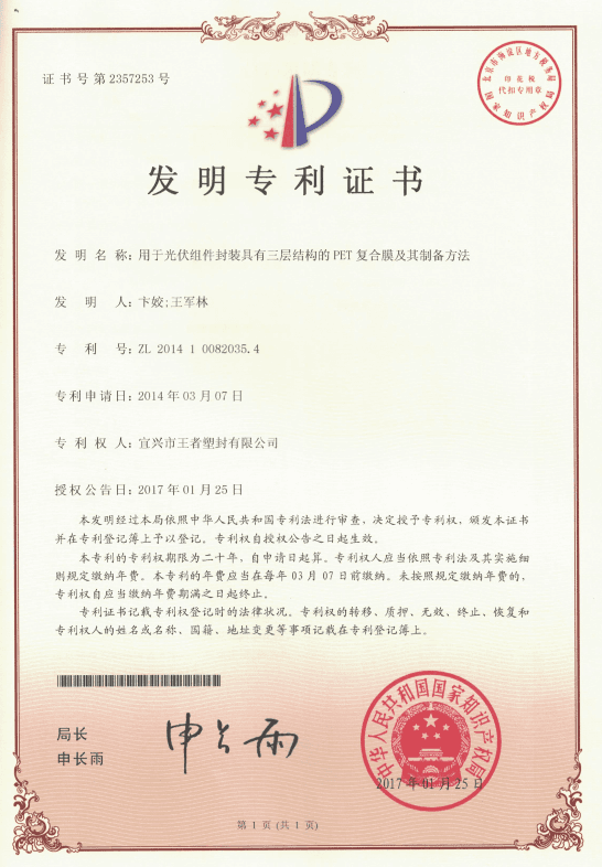 专利